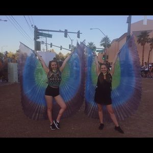 beautiful fairy wings